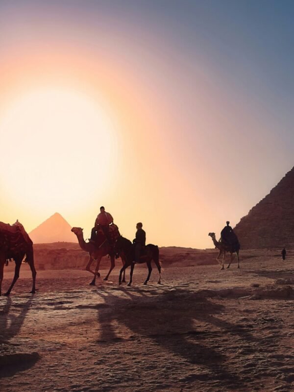 Camel riding at the Pyramids of Giza