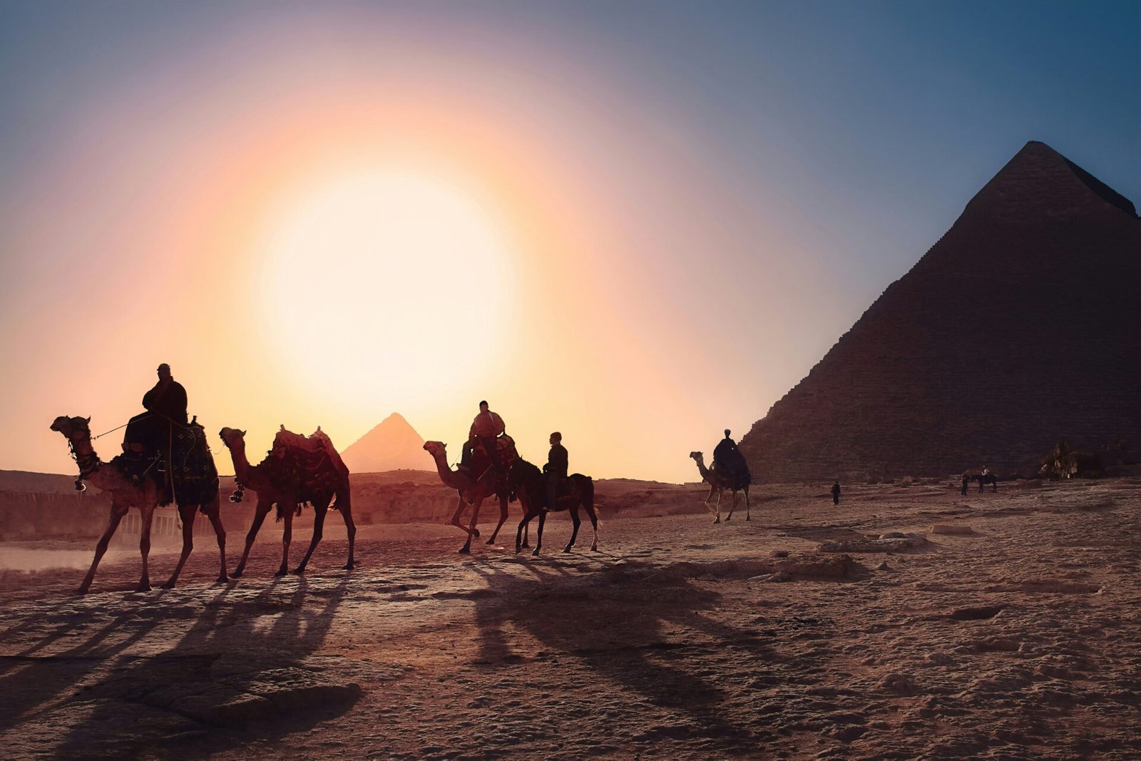 Camel riding at the Pyramids of Giza