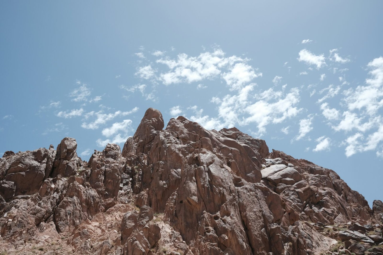 mount sinai