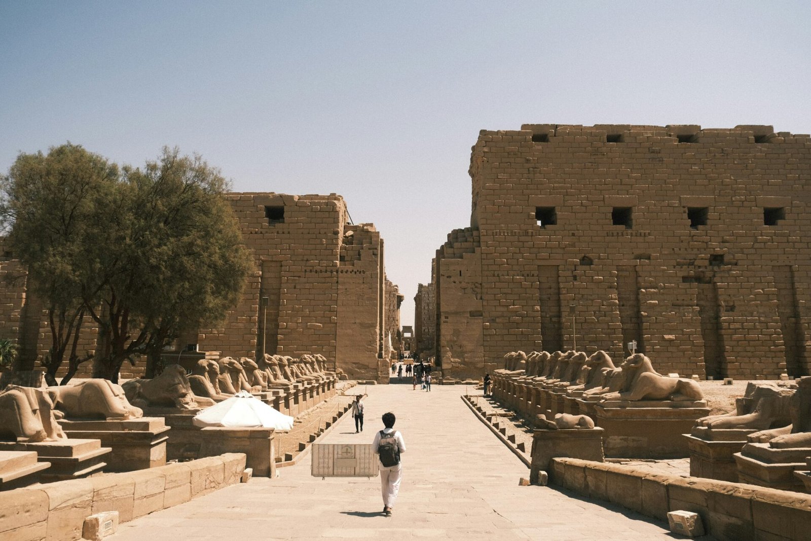 Rams Road in Luxor