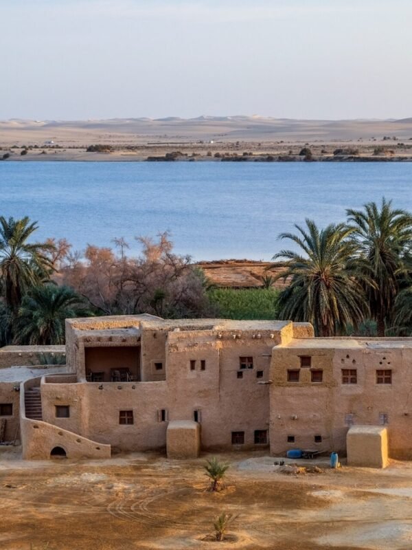 siwa oasis