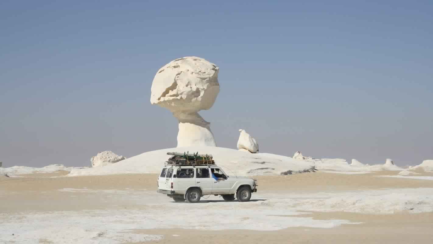 white desert guided tour