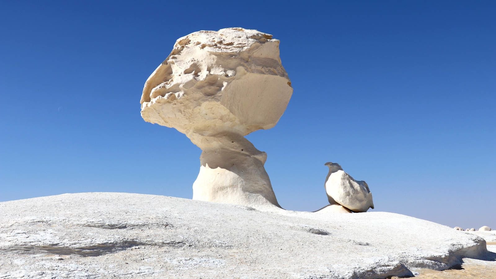 white desert